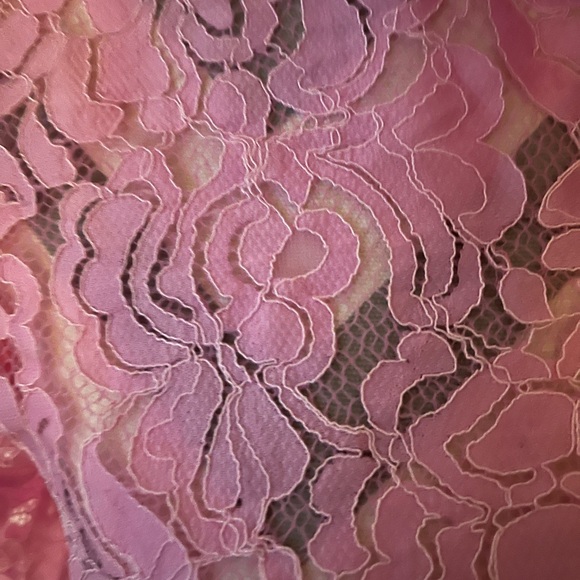 ZARA XS Lace Pink Button Up - Picture 2 of 3